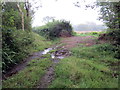 Llwybr Waun-gwiail-fawr / Waun-gwiail-fawr path