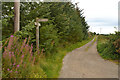 Track near Fernhill, Aberdeen, Scotland