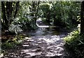 The Clyne River at the Ddol, Dunvant