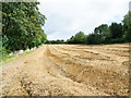 Stubble field in Bishop Auckland