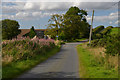 Country Lanes by Millbank Cottage, near Udny Station, Aberdeenshire