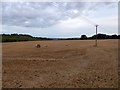 Old Hopgarden Field/Six Acre Meadow