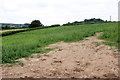 Field on Chilcombe Hill