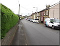 Hedge and houses, Hengoed Road, Penpedairheol