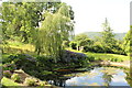 Pond at Maenan Hall gardens