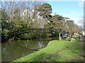 Footbridge over Wey Navigation