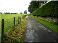 Fence, wall and hedge