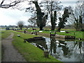 Worsfold Gates, Wey Navigation