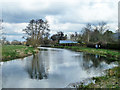 River Wey above Worsfold Gates