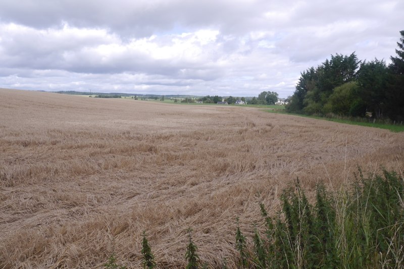 Flattened crops, Balgowan © Richard Webb :: Geograph Britain and Ireland