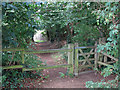 Gate on the path down to Sherfield Avenue