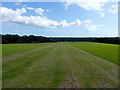 Spilsted Farm Airfield (3)