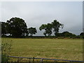 Cut silage field, Callow Hill