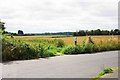 Start of public bridleway, Marlborough Drive, Areley Kings, Stourport-on-Severn, Worcs