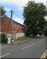 ST1594 : Dominant tree, Park Road, Hengoed by Jaggery