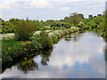 River Tame east of Fazeley in Staffordshire