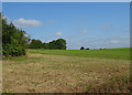 Field near Angel Farm