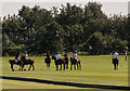 Cheshire Polo Club