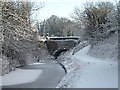 Dog Kennel Bridge, Chesterfield Canal