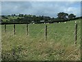 Dark clouds over Bryncoch