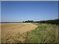 Stubble field near Scredington