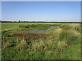 Small pond off Church Lane