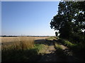 Farm track off Clay Lane