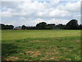 Grassland near Laddenside Farm