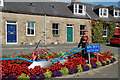 Floral display at Tarves