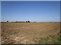 Ploughed field near Forty Acre Farm