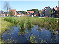 Pond, Forge Wood, Crawley