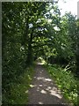 Towpath by Grand Western Canal