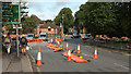 Roadworks, Farnham