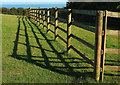 SX9268 : Fence above Maidencombe by Derek Harper