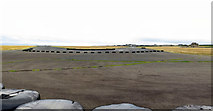 NO6209 : Runways, Crail Disused Airfield by Andrew Curtis