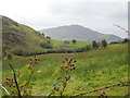 Field barn on the lower western slopes of Courtney Mountain