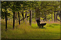 A Place to Sit in Haddo Deer Park, Aberdeenshire