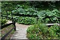 Shanklin Chine, beach: Seen from the first set of steps on entering the chine