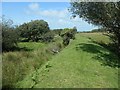 SH4956 : Embankment on the Bryngwyn Branch slate trail by Christine Johnstone