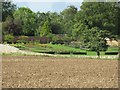 Walled garden at Kames near Leitholm in the Scottish Borders