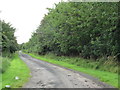 Road into West Newton near Whitsome in the Scottish Borders