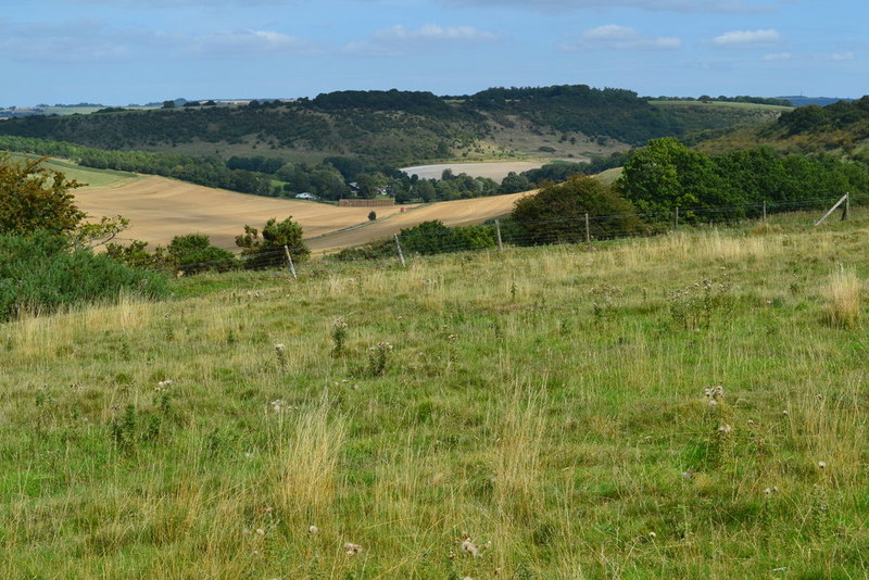 View over Hippenscombe Bottom © David Martin :: Geograph Britain and ...