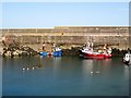 NT9267 : Inshore  fishing  boats  in  St  Abbs  harbour by Martin Dawes