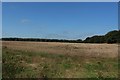 NZ2494 : Arable field beside Grange Wood, Widdrington Station by Graham Robson