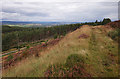 NH4738 : Boblainy Forest viewpoint by Craig Wallace