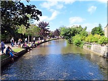 SP1620 : The River Windrush in Bourton-on-the-Water by Steve Daniels