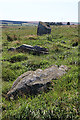 Upper Auchnagorth Stone Circle (7)