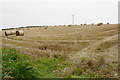 Harvested field near Hayborough Farm