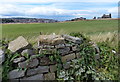 Stone wall along Green Lane