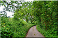 ST1703 : East Devon : Dumpdon Lane by Lewis Clarke